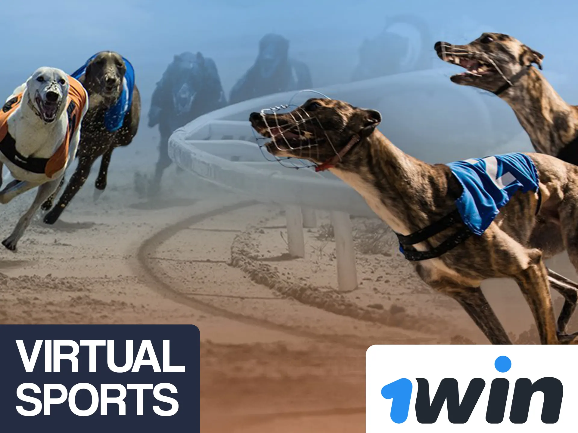 Bet on most exotic virtual sports at 1win.